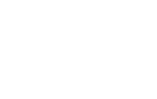 Talento Hidráulicos